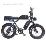 Double Disc Brake 48V 1000W Motor Ebike 20 Inch Electric Fat Tire Bicycle With