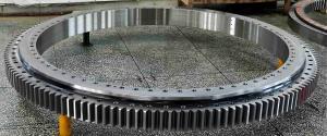 Quality Annealing Single Row Swing Bearing Excavator Slew Ring RKS 061 25 1644 wholesale