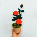 New Creative Luxury Handmade Crochet Knitting Plants Flowers Handicraft Home