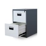 Waterproof Rough Coating Cold Rolled Steel Filing Cupboard