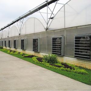 Quality Sunlight High Double Arch Multi Span Greenhouse For Vegetables Planting wholesale