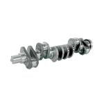 Cummins 6BT Diesel Engine Parts Standard Refrigerated Truck Crankshaft Assy