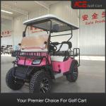 Lithium Powered Street Legal Buggy Electric Sightseeing Golf Carts