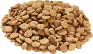 Quality Stainless Steel Pet Food Processing Machine Manufacturing Equipment MT70 wholesale