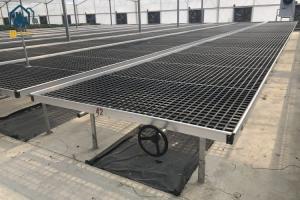 Quality Greenhouse Movable Plastic Seedling Tray Rolling Bench Seedbed For Orchid Farming wholesale