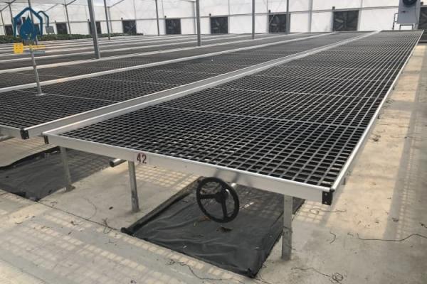 Solid Greenhouse Plastic Seedling Tray / Rolling Grow Tray With Welding Wire