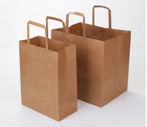 Quality Waterproof 150gsm 21*30*10cm Flat Handle Paper Bags wholesale