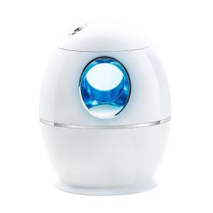 Quality 2.5L Air Disinfection Humidifier wholesale