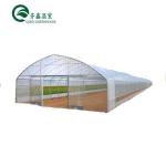 Multi-Span Agricultural Greenhouses Hydroponic Aeroponic Tower Garden for Film