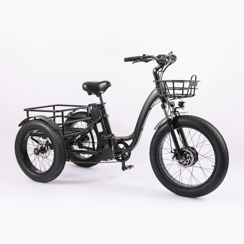 High Capacity Family Cargo Bike with Torque 80-90 Nm and Rear Carrier Battery Position