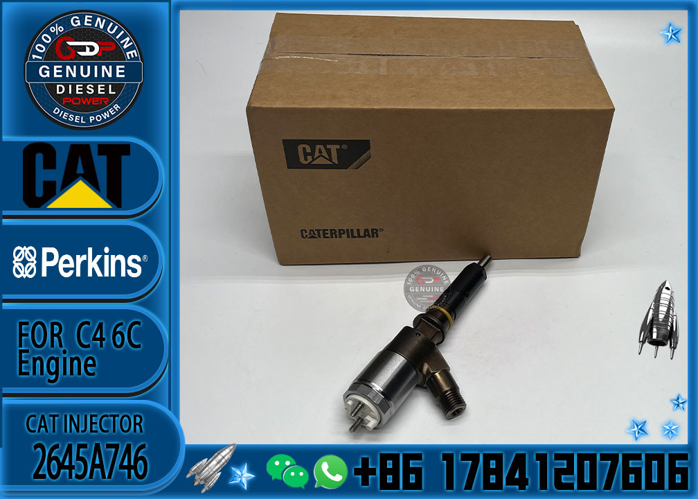 original 323D L excavator fuel injector 10R7671 C4.4 engine 3200677 fuel injector 2645A746