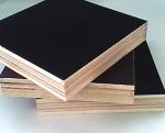 film faced plywood/Cheap price construction playwood / high quality marine