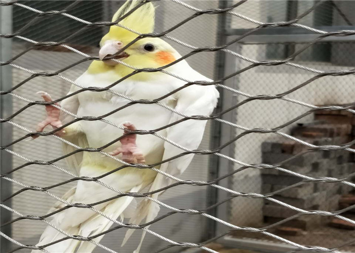 Stainless Steel Bird Aviary Wire Mesh 7*7 7*19 With Good Perspective