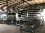 Bakery Machine Spiral Chiller and Freezer for Bakery Professional Manufacturer