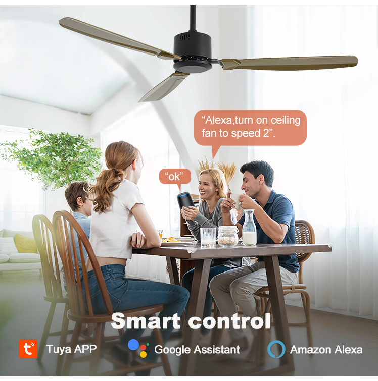 1stshine Low Noise Ceiling Fan with Silent DC Copper Motor and 6 Speed Remote Control