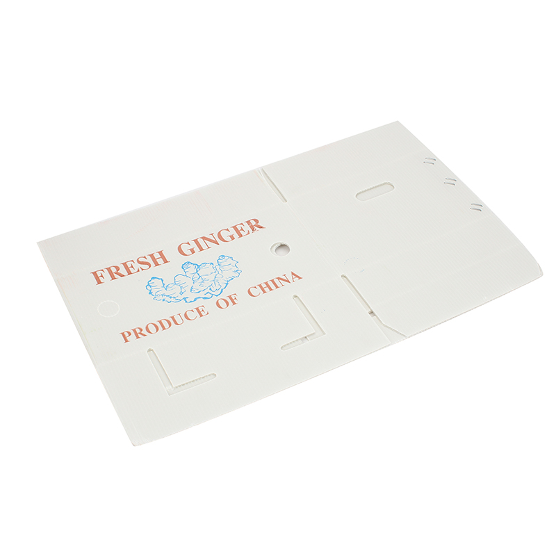 Luxury Folding Custom Corrugated Shipping Boxes