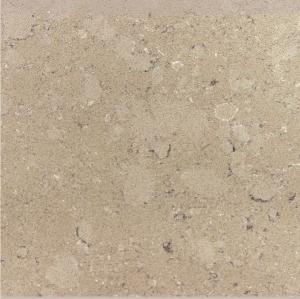 Quality Kitchen Leathered White Starlight Quartz Countertops Artificial wholesale