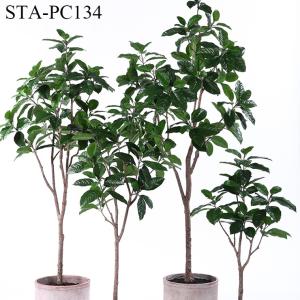 Quality Low - Maintance Artificial Rubber Tree Evergreen Plant Modern Lifestyle wholesale