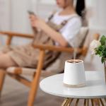 Desk Whisper Quiet Air Purifier Humidifier Small Lightweight Night Light