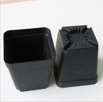 70*80 mm Coex Black Round Azalea Pots Nursery Pots Seedling Plant Flower