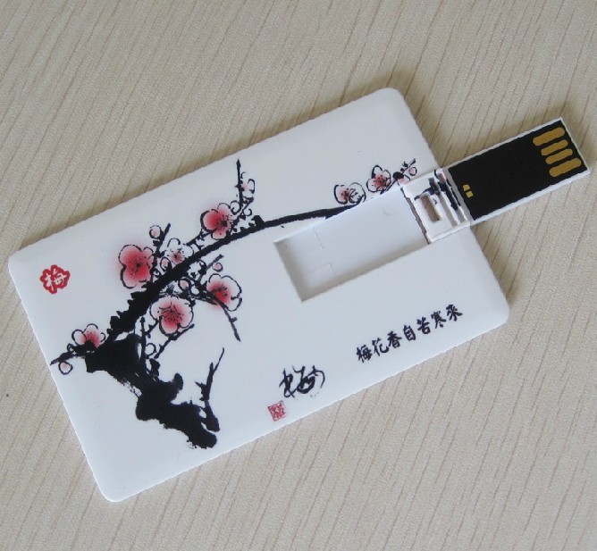 Full Color Printing USB Flash Drive Business Card Pen Drive Credit Card USB