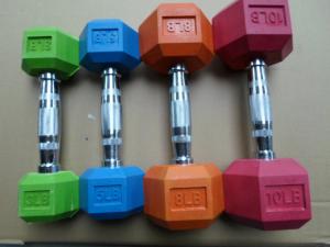 Quality Casting Dumbbell in GYM wholesale