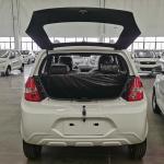 Raysince New model electric vehicle 4 Seats 5 door China high speed electric car
