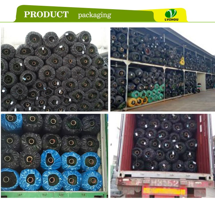 Soccer Indoor Grass Mat / 10mm Pile Waterproof Grass Carpet 0.2mm Width