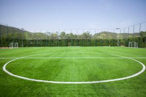 Quality Realistic Fake Artificial Grass Deluxe Synthetic Turf Thick Pet Lawn wholesale