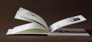 Quality Unique Birthday / Kids / Landscape Hardcover Photo Album 10x16 240gsm / 256gsm wholesale