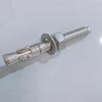 304 Concrete Expansion Anchor Bolts Anchors Through Bolt Wall Wedge 12mm
