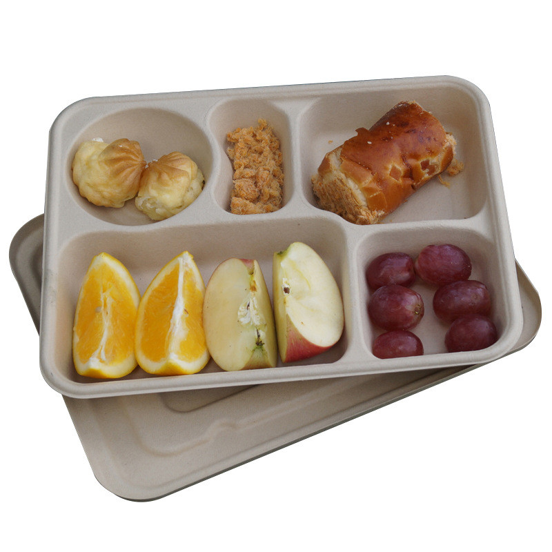 100% Natural Sugarcane Fiber Square Disposable Plates Biodegradable