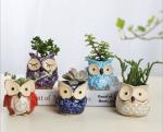 Succulent Plant Mini Ceramic Owl Animal flowerPot