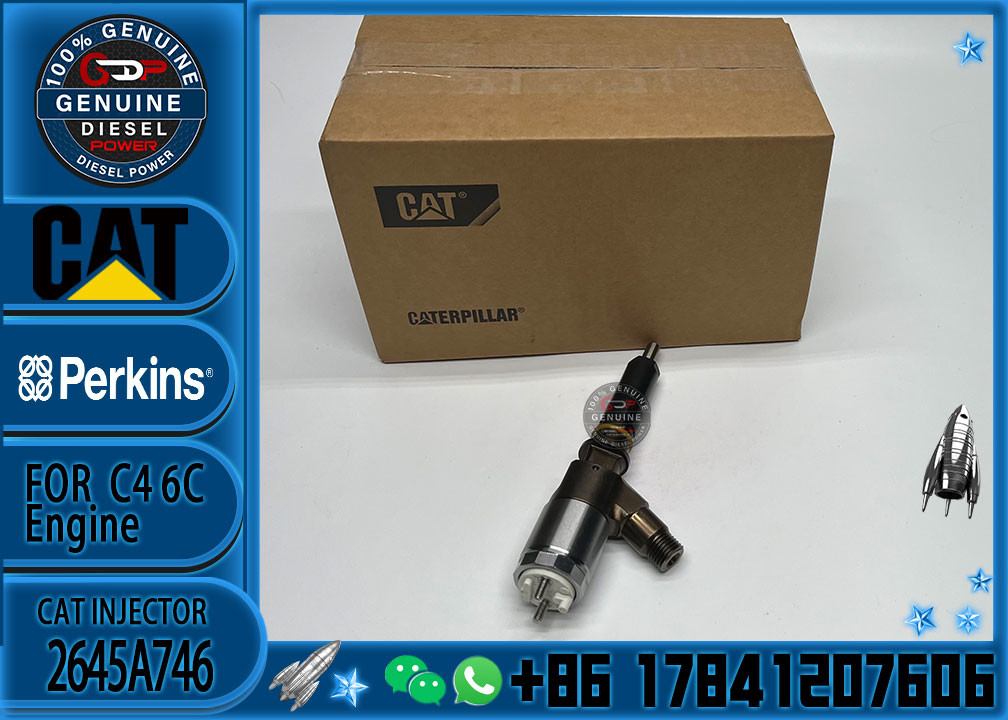 320-0677 diesel fuel injector nozzle 2645A746 3200677 common rail injector for Caterpillar engine C6.6 excavator 323D