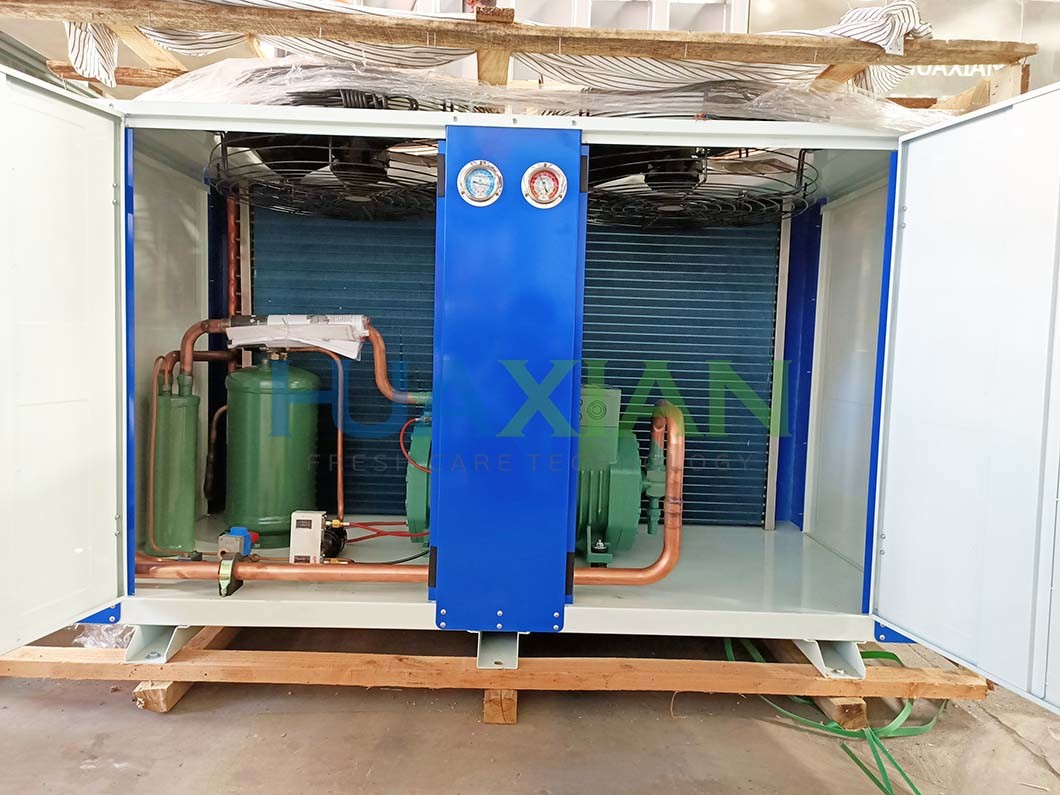 Bitzer Compressor 10 Tons Block/Flake Ice Storage Container Room