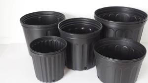 Quality Series 7 Black plastic plant pot BN190 wholesale