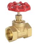 Manufacture Plumbing Water Use 2 Brass Gate Valve
