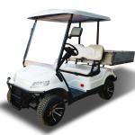 OEM Electric UTV Community Golf Carts 2 Seats 60v