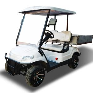 Quality New Energy LSV UTV Community Golf Carts Vehicle For Family wholesale