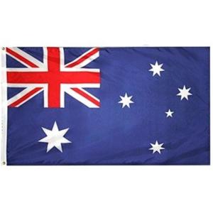 International Banner World Flags Polyester Hanging Style Pantone Color