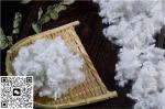 Heat Virgin Poly Fiber for Robust Applications