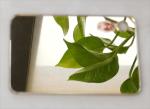 Wholesale 3mm 4x8 Rose Gold Silver Perspex Mirror Acrylic Sheet with PE Film