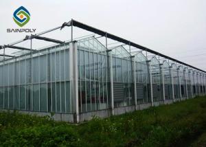 Quality 4m Commercial Glass Greenhouse wholesale