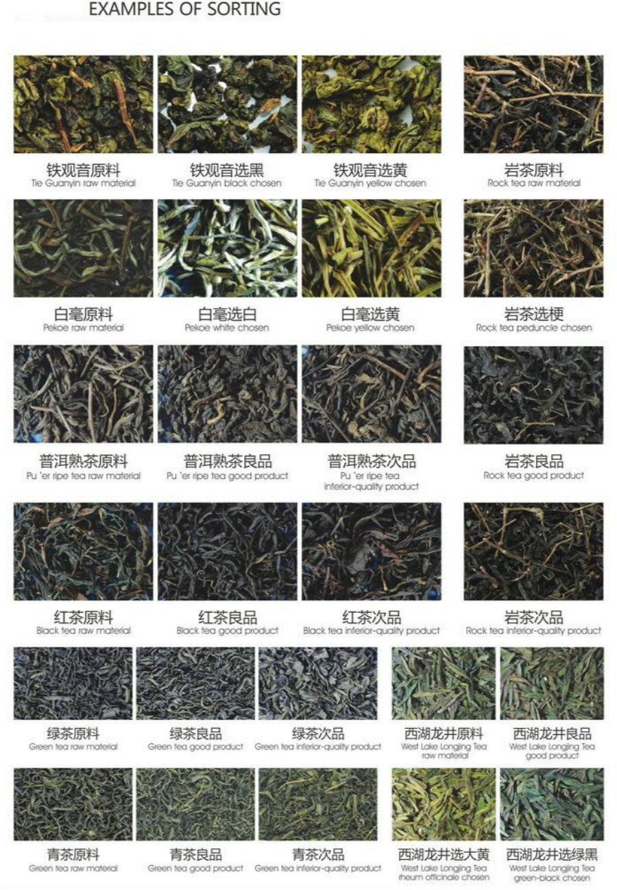 Optical Tea Color Sorting Machine Multilayer tea color sorter machine