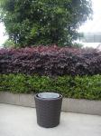 UV Resistant Cane / Wicker Flower Pot For Restaurant Office Bar