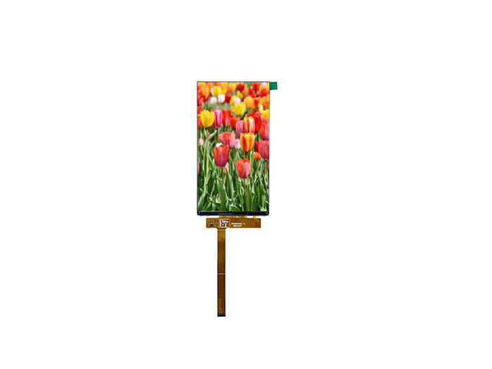 720x1440 FPC Custom TFT LCD Displays Capacitive Touch Screen 6 Inch