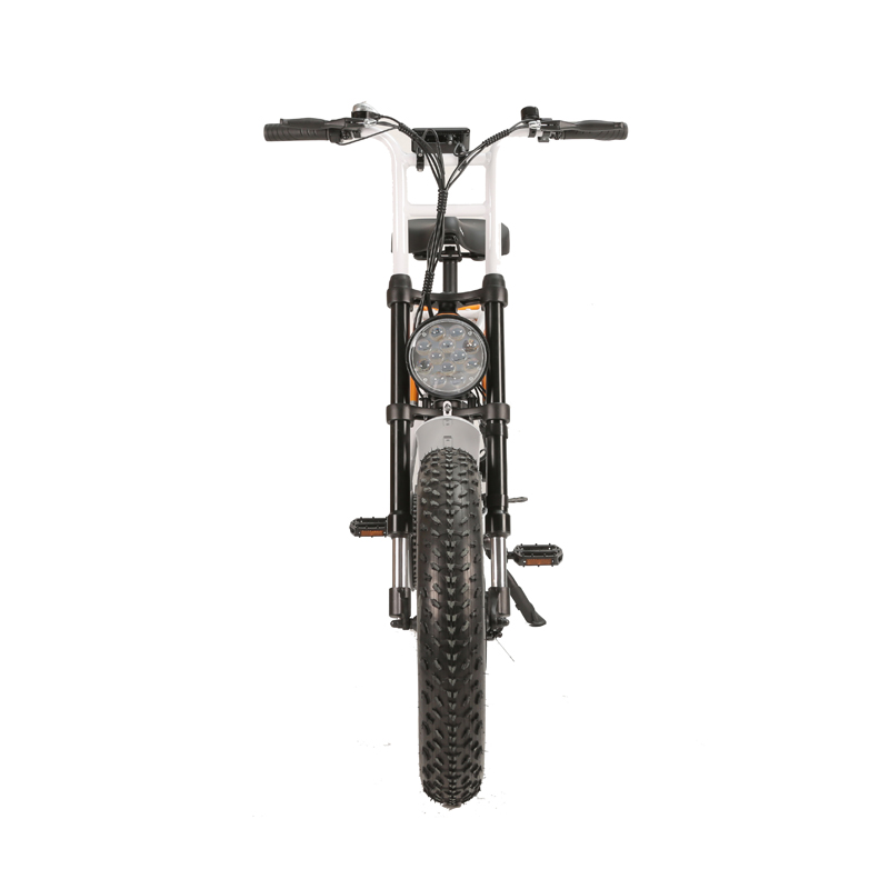LCD Display Electric Retro Motorcycle with 750W Dual Motors and Long Range Capability