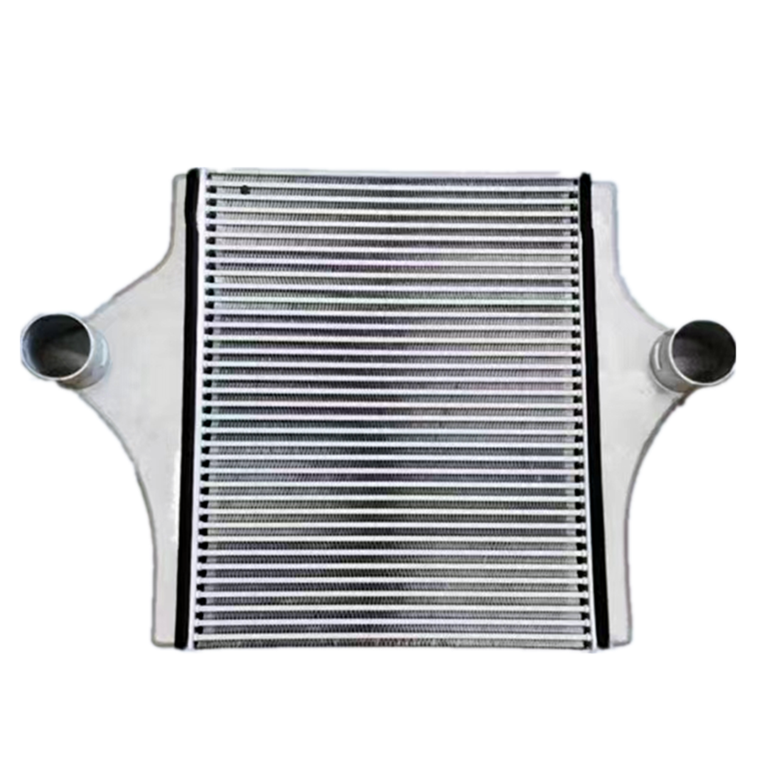 Shaanxi Truck Radiator Assembly WG9719530276 1424113101002 100% Professionally Tested