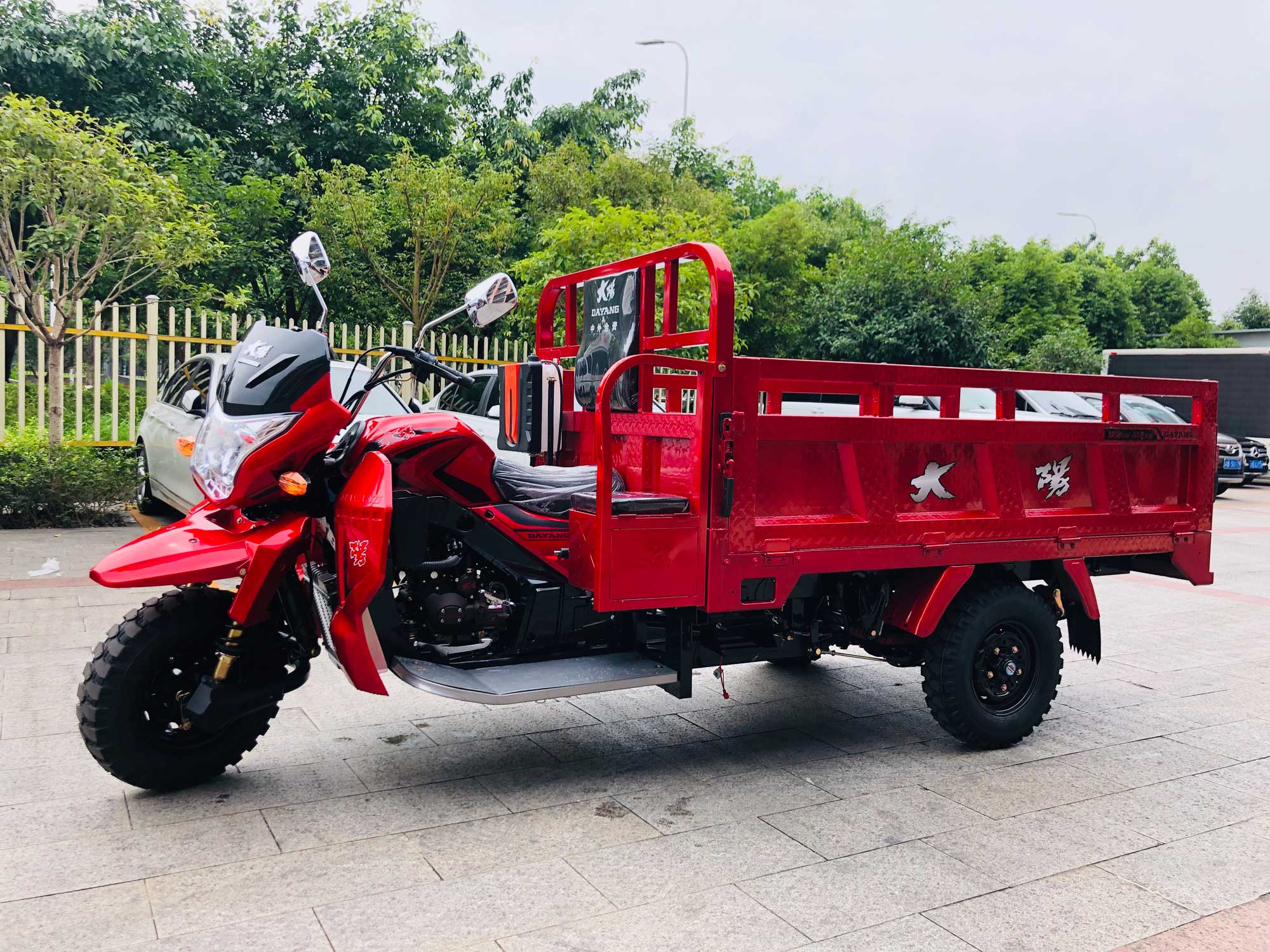 800W DAYANG DY-R1 RUITENG 250cc Cargo Tricycle for Heavy Duty CCC Three Wheels Motorcycle