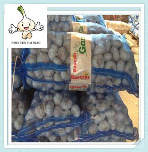 Quality High Quality Fresh Style Pure White Garlic from Shandong, China wholesale
